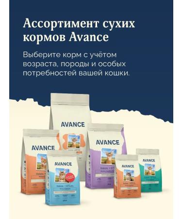 Advance Holistic Canned food for cats and kittens with rabbit rabbit 100 g - Buy Online on GoSupps.com