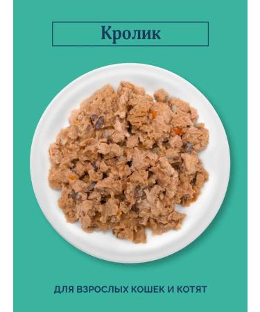 Advance Holistic Canned food for cats and kittens with rabbit rabbit 100 g - Buy Online on GoSupps.com