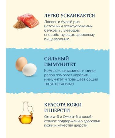 Advance Holistic Canned food for cats and kittens with salmon Salmon 12 x 100 g - Buy Online on GoSupps.com