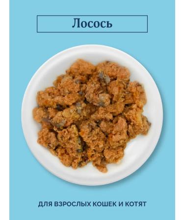 Advance Holistic Canned food for cats and kittens with salmon Salmon 12 x 100 g - Buy Online on GoSupps.com