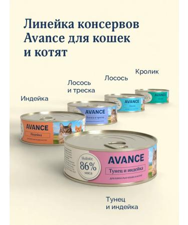 Advance Holistic Canned food for cats and kittens with salmon and cod 100 g - Buy Online on GoSupps.com