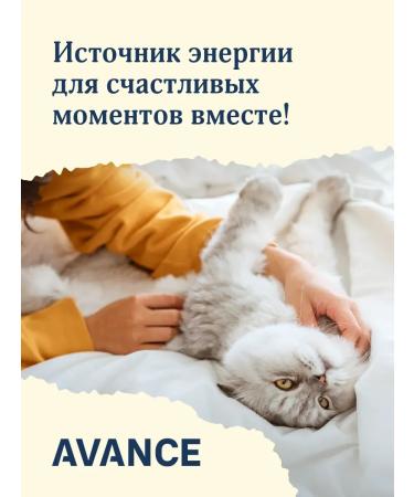 Advance Holistic Canned food for cats and kittens with salmon and cod 100 g - Buy Online on GoSupps.com