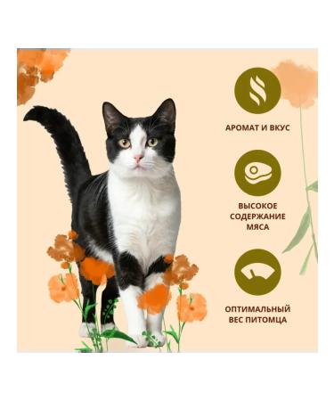 Almo Nature Cat for cats with a turkey Adult Fresh Turkey 0.4kg - Buy Online on GoSupps.com