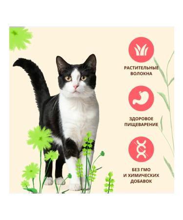 Almo Nature Dry food for cats with salmon Salmon Anti Hairball 2kg - Buy Online on GoSupps.com