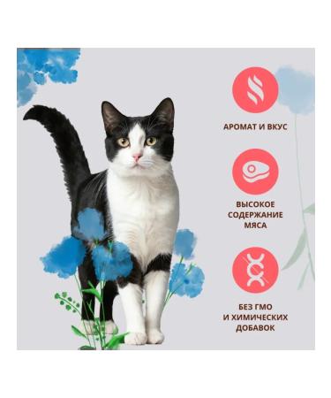 Almo Nature Sterilized cats with salmon Sterilized 0.4 kg - Buy Online on GoSupps.com