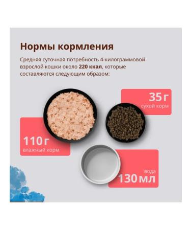 Almo Nature Sterilized cats with salmon Sterilized 0.4 kg - Buy Online on GoSupps.com