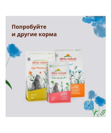 Almo Nature Sterilized cats with salmon Sterilized 0.4 kg - Buy Online on GoSupps.com