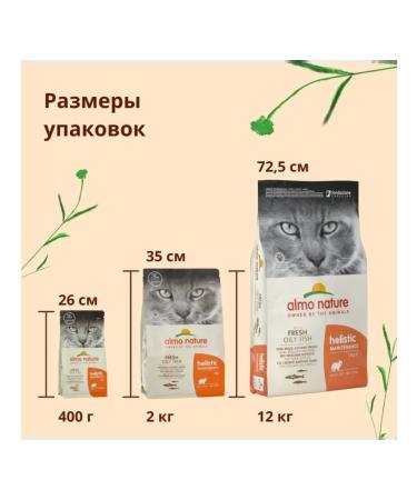 Almo Nature Adult cat food with sea fish Oily Fish 0.4 kg - Buy Online on GoSupps.com