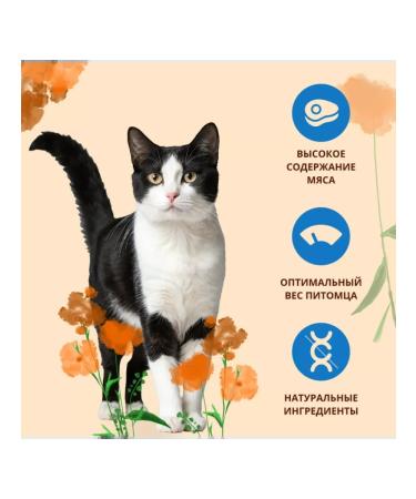 Almo Nature Adult cat food with sea fish Adult Oily Fish 12kg - Buy Online on GoSupps.com