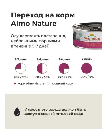 Almo Nature canned food for cats with salmon and chicken in jelly 6x100g - Buy Online on GoSupps.com