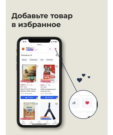 Almo Nature Canned food for sterilized cats cod 12x100 g - Buy Online on GoSupps.com