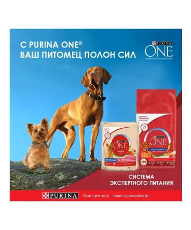 PURINA ONE for dogs of medium and large breeds - Buy Online on GoSupps.com