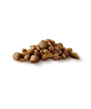 PURINA ONE Dry food for dogs of small breeds beef and with rice 0.6 kg - Buy Online on GoSupps.com