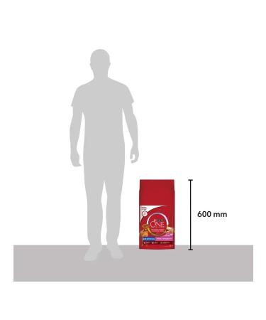 PURINA ONE Dry food for dogs of medium and large breeds lambs 10 kg - Buy Online on GoSupps.com