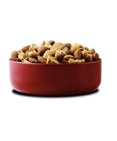 PURINA ONE Dry food for dogs of medium and large breeds lambs 10 kg - Buy Online on GoSupps.com