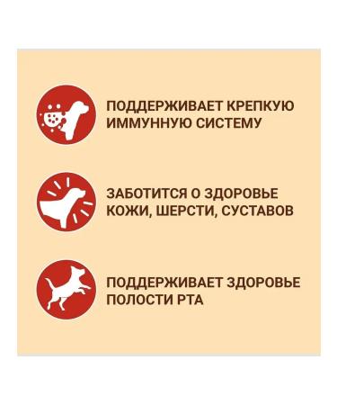 PURINA ONE Dry food for dogs of medium and large breeds lambs 10 kg - Buy Online on GoSupps.com