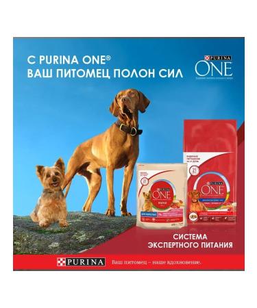 PURINA ONE Dry food for dogs of medium and large breeds lambs 10 kg - Buy Online on GoSupps.com