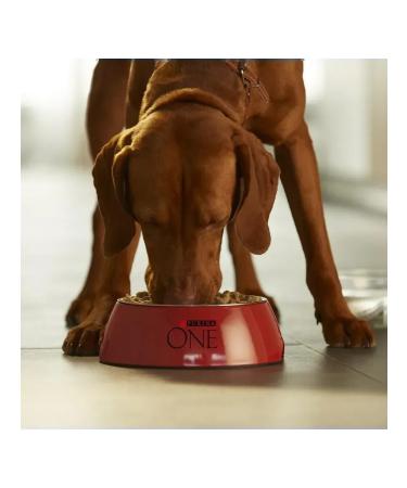 PURINA ONE Dry food for dogs of medium and large breeds lambs 10 kg - Buy Online on GoSupps.com