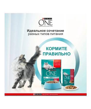 PURINA ONE Dry food "Nature of Health" for cats with chicken 680 grams - Buy Online on GoSupps.com