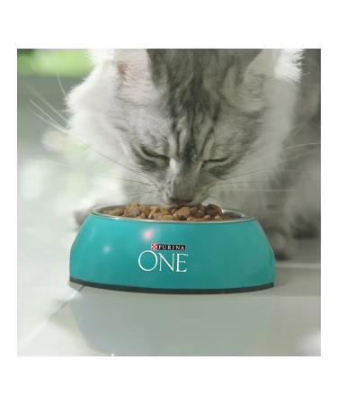 PURINA ONE Dry food "Nature of Health" for cats with chicken 680 grams - Buy Online on GoSupps.com