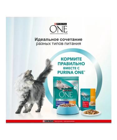 PURINA ONE Dry food for sterilized cats chicken 750 gr - Buy Online on GoSupps.com