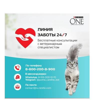 PURINA ONE Dry food for cats turkey and cereals 750 g - Buy Online on GoSupps.com