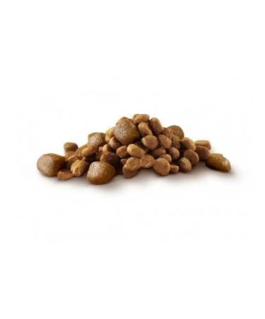 PURINA ONE Dry food for dogs of small breeds with beef 1.5 kg - Buy Online on GoSupps.com