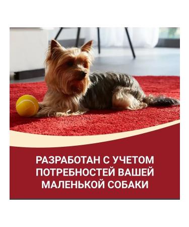 PURINA ONE Dry food for dogs of small breeds with beef 1.5 kg - Buy Online on GoSupps.com