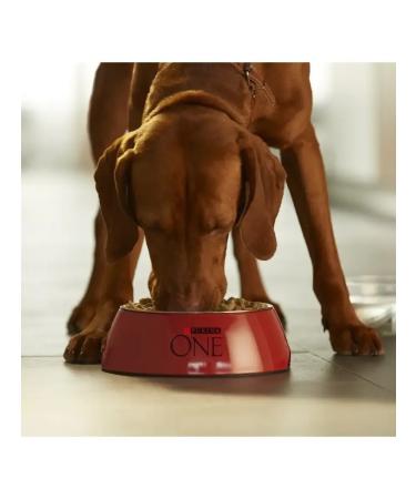 PURINA ONE for dogs of medium large breeds with beef rice 1.8kg - Buy Online on GoSupps.com
