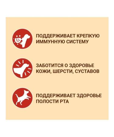 PURINA ONE For adult dogs of medium and large breeds 3.8 kg - Buy Online on GoSupps.com