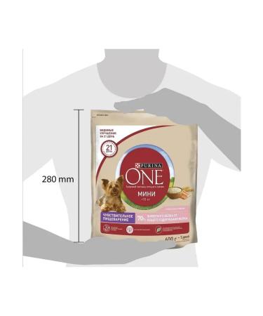PURINA ONE Dry food for dogs of small breeds with salmon and rice 0.6 kg - Buy Online on GoSupps.com