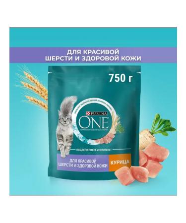 PURINA ONE Dry food for cats chicken 750g - Buy Online on GoSupps.com