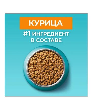 PURINA ONE Dry food for cats chicken 750g - Buy Online on GoSupps.com