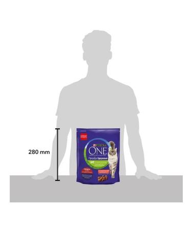 PURINA ONE Dry food for sterile. cats and cats beef 680 gr - Buy Online on GoSupps.com