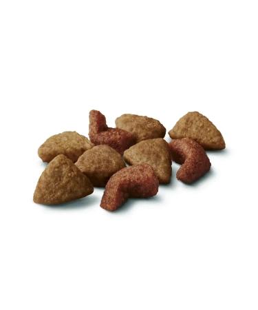 PURINA ONE Dry food for sterile. cats and cats beef 680 gr - Buy Online on GoSupps.com