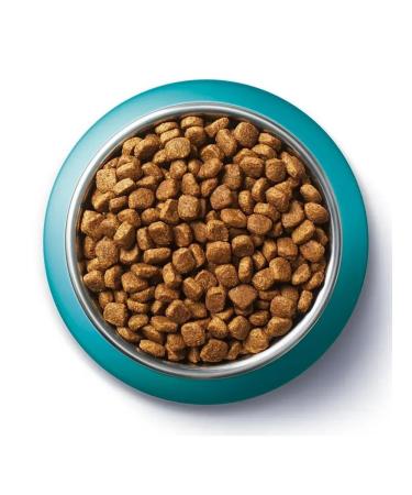 PURINA ONE Dry food for adult cats chicken and cereals 750 g - Buy Online on GoSupps.com
