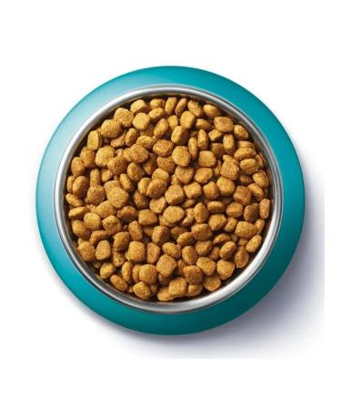 PURINA ONE For adult cats with sensitive digestion 1.5 kg - Buy Online on GoSupps.com
