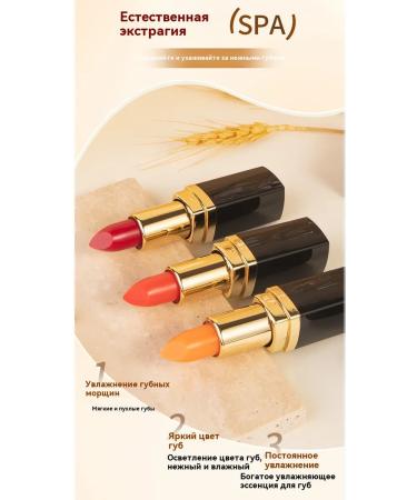 Lipstick 2 # 3.5 g - Buy Online on GoSupps.com
