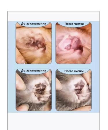 Drops for cleaning ears for dogs and cats 180ml - Buy Online on GoSupps.com