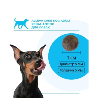 Alleva Dog food Renal Antiox 2 kg - Buy Online on GoSupps.com