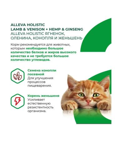 Alleva Adult cat food with lamb and venison 1.5 kg - Buy Online on GoSupps.com