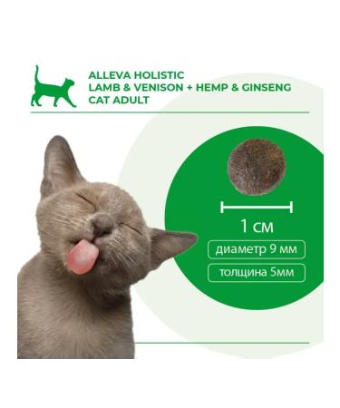 Alleva Adult cat food with lamb and venison 1.5 kg - Buy Online on GoSupps.com