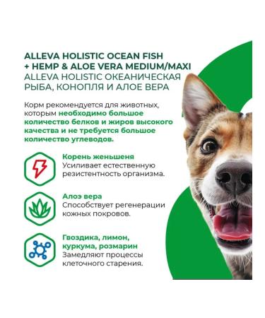 Alleva Adult dog food with ocean fish 12 kg - Buy Online on GoSupps.com