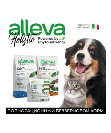 Alleva Cat for cats with chicken and duck 10 kg - Buy Online on GoSupps.com