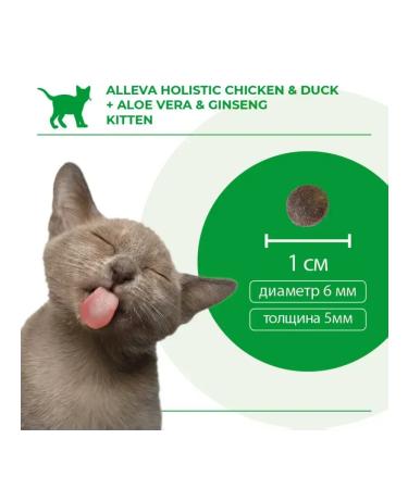 Alleva Feed for kittens with chicken and duck 1.5 kg - Buy Online on GoSupps.com