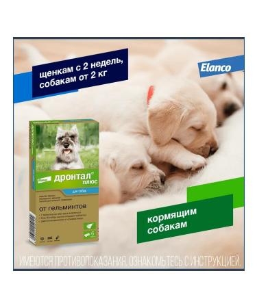 Elanco Tablets from worms for dogs 6 pcs - Buy Online on GoSupps.com
