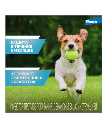 Elanco Medium dogs collar from fleas and ticks 48cm - Buy Online on GoSupps.com