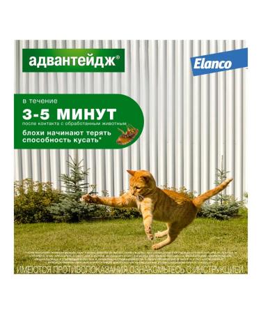 Elanco Advantage Drops for cats up to 4 kg from fleas 4pipetakes - Buy Online on GoSupps.com