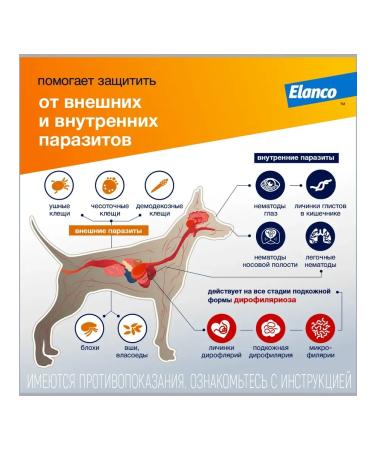 Elanco Lawyer for dogs up to 4 kg - Buy Online on GoSupps.com