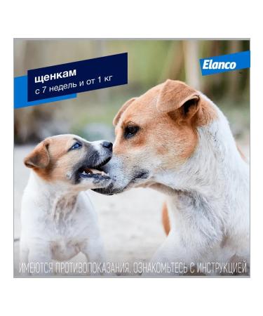 Elanco Lawyer for dogs up to 4 kg - Buy Online on GoSupps.com